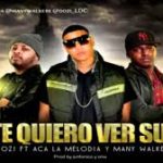 D.Ozi Ft. Aca La Melodia Y Many Walkers - No Te Quiero Ver Sufrir MP3